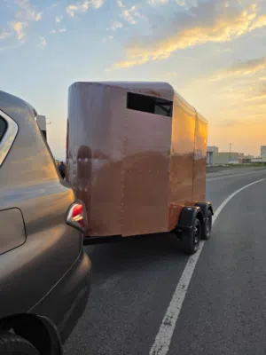 عربة خيول فخمة جديده للبيع