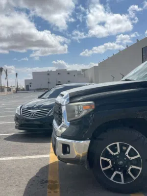 كلب تبيني نبي كلب تبني