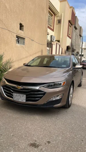 شوفرليت ماليبو برمير 2019