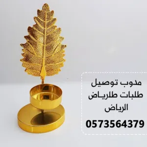 مندوب توصيل