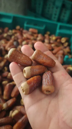 تمر جريجرو فاخر