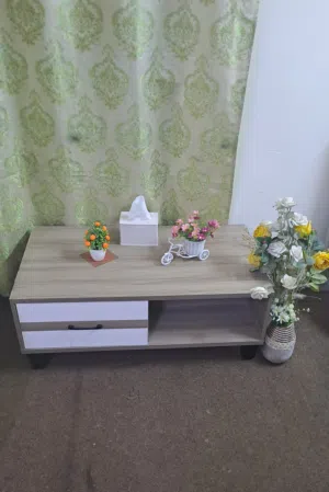 Coffee Table 55×100 cm