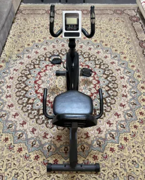 Recumbent Exercise Bike
