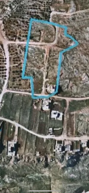 قطع اراضي نابلس في منطقة جبل المساكن الشعبيه تل الهوى