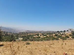 Residential Land for Sale in Amman Badr Jdedeh