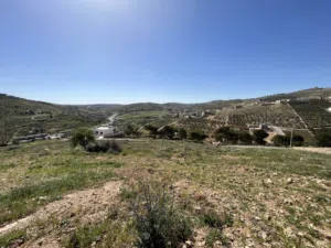 Residential Land for Sale in Zarqa Um Rummanah