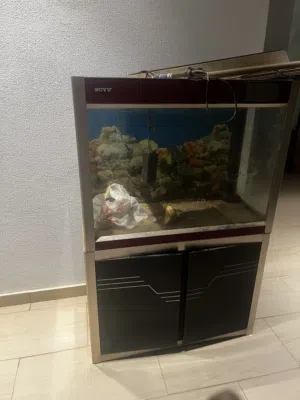 حوض بيولوجي حديث