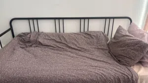 Ash Day Bed