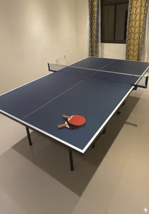 Ping pong table in perfect condition from one of the best brands