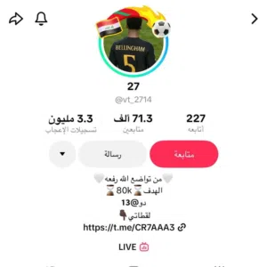 حساب تيك توك