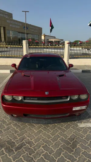 دوج RT عينك ميزانك