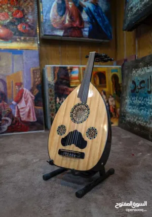 عود أحمد عبد الحليم أكولايزر الوان صوت ممتاز