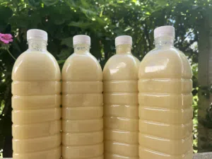 Citronnade concentré