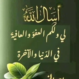 شروات أبو محمد 
