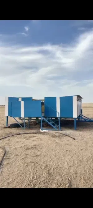 للبيع برج الحمام سحب 11 خانه مع 60 طير