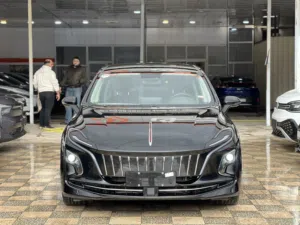 Used Hongqi E-QM5 in Irbid