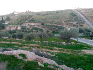 residential-land-for-sale-in-zarqa-rajm-al-shawk
