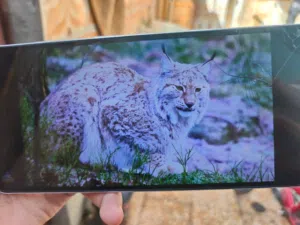 Samsung Galaxy A05 128 GB in Basra