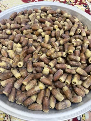 تمر نغال محقب لذيذ و جديد