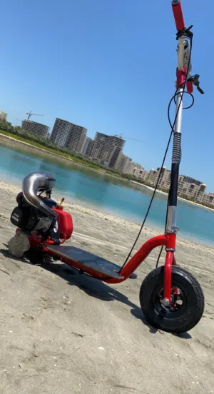 Gas Scooter (GoPed)