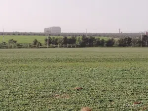Residential Land for Sale in Irbid University of Science and Technology