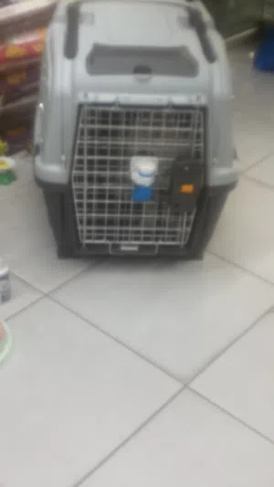 Cat and small dogs crate large IATA approved