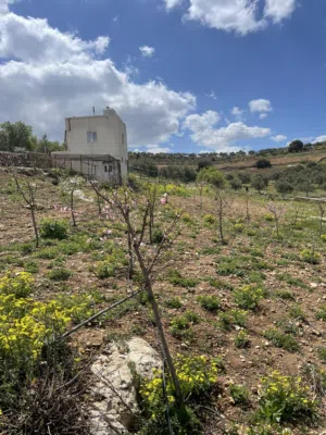 Mixed Use Land for Sale in Ajloun Sakhra