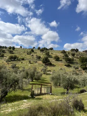Farm Land for Sale in Jerash Kufor Khal
