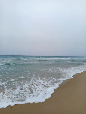 قطعة ارض للبيع