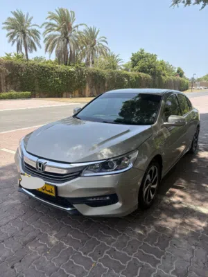 Used Honda Accord in Muscat