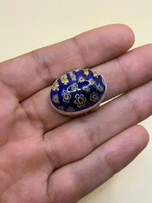 خاتم الشريعة المغربي