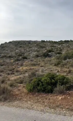 ارض في قرية قراوة بني زيد