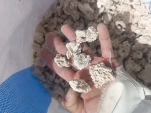 علف عجين ابل للبيع