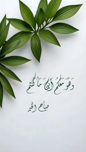 تيم ر 