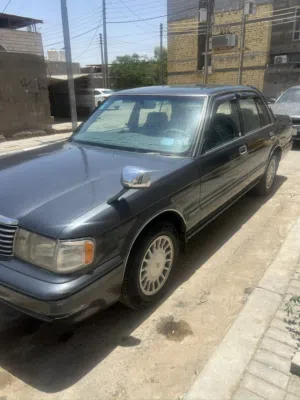 أرنب طويل 58$ لون رصاصي رمادي