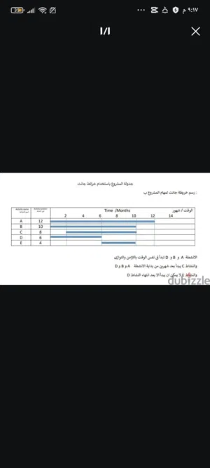 مدرس اقتصاد للجامعات والدراسات العليا باللغتين العربيه والانجليزيه