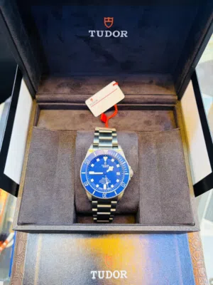 Tudor Geneve titanium