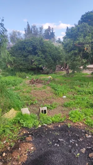 5 Bedrooms . 4 Bathrooms . 140 m21