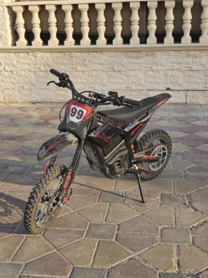 Dream 01 E-Bike ( Like Kugoo 01 and i think faster )