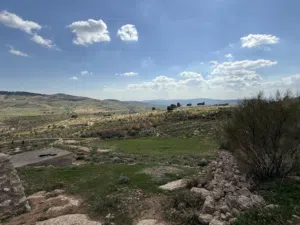 Mixed Use Land for Sale in Jerash Other
