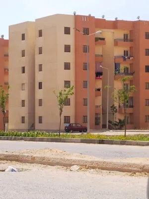 فرصة العمر لا تتكرر.. شقة لقطة ببرج العرب (إسكان الجيش)