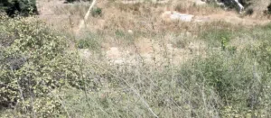 Land for Sale in Aabey – 730 m2  Scenic Mountain Views  Road Access