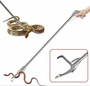 عصاة السيطره على الزواحف