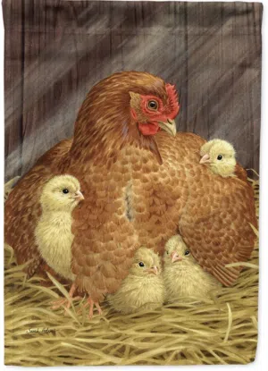 دجاجة مفلسة للبيع ( 7 )