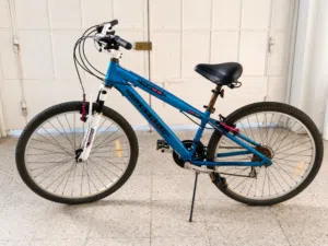 RS26 Mustang Mountain Bike Used