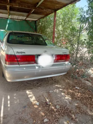 جنون دخول جديد للبيع رقم بصرة