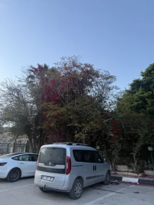 فيات دوبلو 2018 ترخيص 2017 للبيع