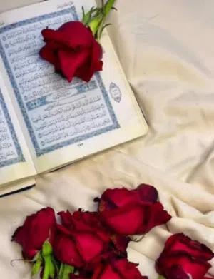 نور على نور 