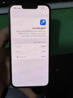 iPhone      13