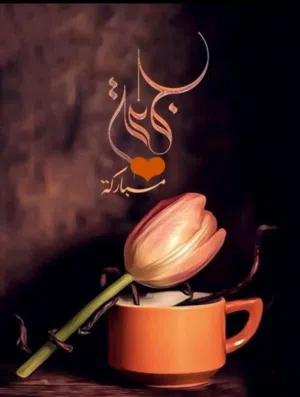 ابو محمد 